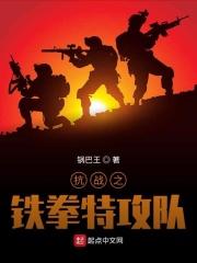 抗日之铁拳特攻队 抗日之铁拳特攻队