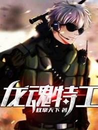 龙魂特工动漫