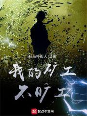 天启乐园之黄金矿工 天启乐园之黄金矿工